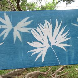 サイアノタイプ吊り下げ布 - 植物のサイアノタイプ装飾 - 結合双翅目 3枚目の画像