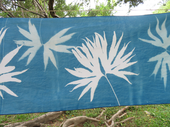 サイアノタイプ吊り下げ布 - 植物のサイアノタイプ装飾 - 結合双翅目 3枚目の画像