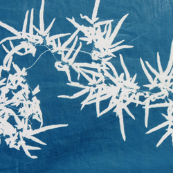 藍曬掛布 - 海金沙 Botanic Cyanotype Decoration - Japenese climbing 第4張的照片