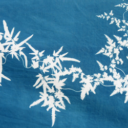 藍曬掛布 - 海金沙 Botanic Cyanotype Decoration - Japenese climbing 第3張的照片