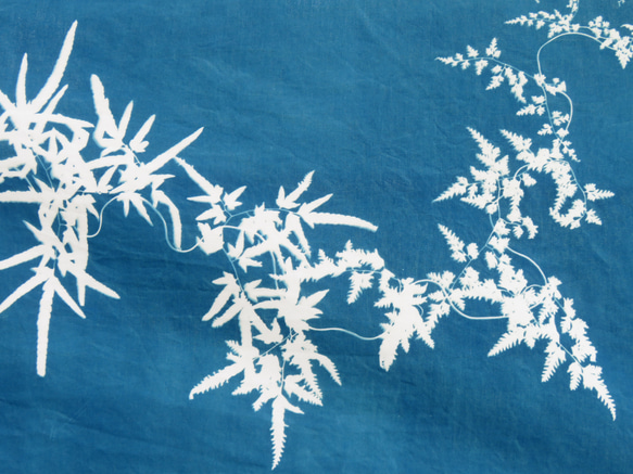 藍曬掛布 - 海金沙 Botanic Cyanotype Decoration - Japenese climbing 第3張的照片