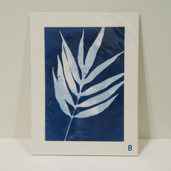 植物剪影。藍曬框畫 Botanic Cyanotype Framed Art Piece 第3張的照片