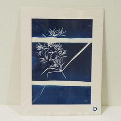 植物剪影。藍曬框畫 Botanic Cyanotype Framed Art Piece 第7張的照片