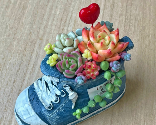 樹脂粘土 多肉 チャーム 樹脂粘土 多肉 チャーム 🌱おうち習い事アプリ『ミルーム