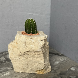 大理石ナチュラル花器 1枚目の画像
