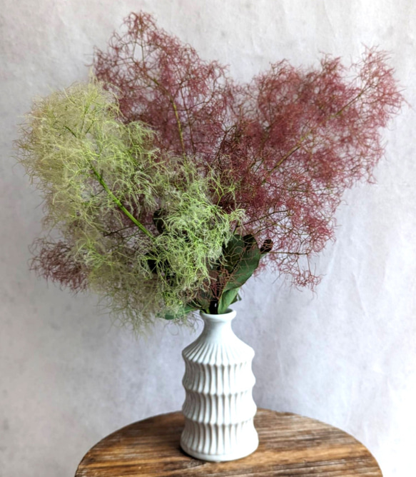【予約販売】【早割】すぐに飾れる！バイカラーが素敵なふわふわスモークツリーの花瓶付きアレンジメント 1枚目の画像