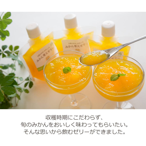 みかん出品 10FACTORY（食品） 10FACTORY ギフト 愛媛みかんジュース 5本