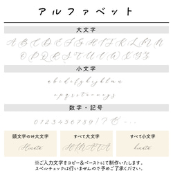 名入れ巾着 バレエ バレリーナ トゥシューズ トウシューズ バレエ発表会 記念品 卒園 卒業 入園 入学／23 8枚目の画像