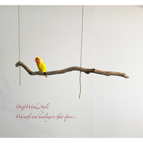 流木　吊り下げ式　止まり木 流木インテリア うねりのある天然流木の小鳥の止まり木 吊り下げタイプ