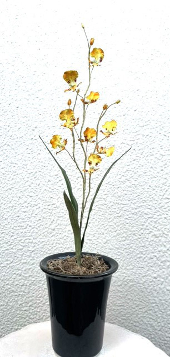 染花・布花・アートフラワー　　洋ラン　オンシジュウムの花（１鉢）　　玄関・和洋の空間・お部屋のインテリアなどに。 2枚目の画像