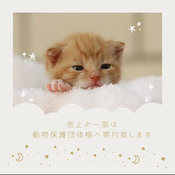 【動物保護活動応援】ガラス　ティーセット×ロゼット【うちの子グッズ】犬　猫　ペット　ミモザ　耐熱　名前/写真入り　ギフト 17枚目の画像