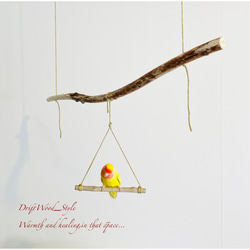 流木インテリア  シンプルな天然流木の小鳥の止まり木 吊り下げタイプ インコ 鳥 ブランコ 自然木 No.8 4枚目の画像