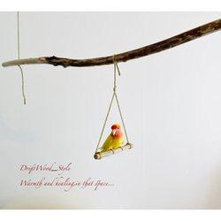 流木インテリア  シンプルな天然流木の小鳥の止まり木 吊り下げタイプ インコ 鳥 ブランコ 自然木 No.8 6枚目の画像