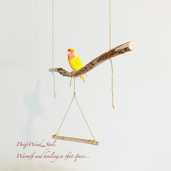 流木インテリア  シンプルな天然流木の小鳥の止まり木 吊り下げタイプ インコ 鳥 ブランコ 自然木 No.8 3枚目の画像