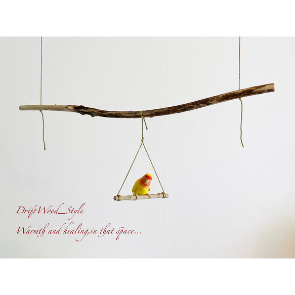 流木インテリア  シンプルな天然流木の小鳥の止まり木 吊り下げタイプ インコ 鳥 ブランコ 自然木 No.8 5枚目の画像