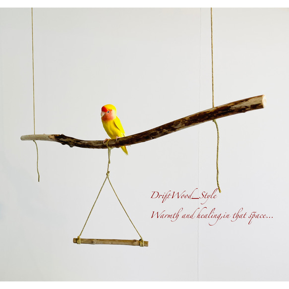 流木インテリア  シンプルな天然流木の小鳥の止まり木 吊り下げタイプ インコ 鳥 ブランコ 自然木 No.8 2枚目の画像