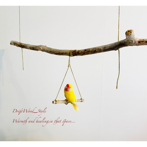 流木インテリア  大型の天然流木の小鳥の止まり木 吊り下げタイプ インコ 鳥 ブランコ 自然木 No.9 4枚目の画像
