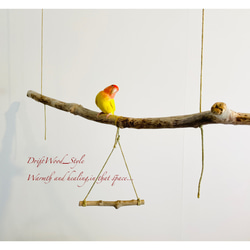 流木インテリア  大型の天然流木の小鳥の止まり木 吊り下げタイプ インコ 鳥 ブランコ 自然木 No.9 3枚目の画像