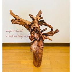 流木インテリア 自然の造形が美しい流木スタンド ランタンやエアプラントを飾れる置物 北欧 照明 木材 癒し N1 9枚目の画像