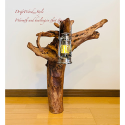流木インテリア 自然の造形が美しい流木スタンド ランタンやエアプラントを飾れる置物 北欧 照明 木材 癒し N1 2枚目の画像