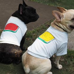 わんことお揃いコーデ2枚セット☆彡 すいか Tシャツ  犬服 ☆ お散歩ミニトート付き ☆お得なセット割引☆ 7枚目の画像