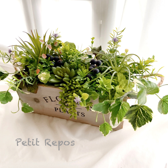非売品]ナチュラル多肉植物アレンジメント 壁掛け① 非売品