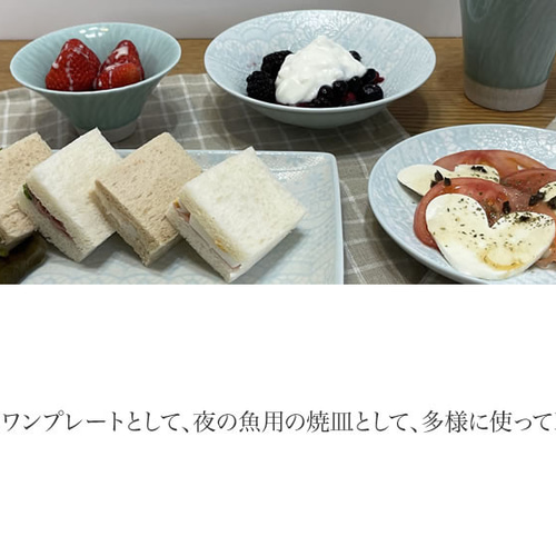 チュールレース 長角皿 波佐見焼 【tomofac】 長皿 波佐見焼 tomofac 