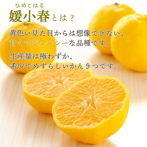 数量限定】幻のかんきつ 媛小春ジュース・寒天ゼリーセット ジュース