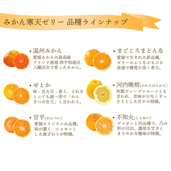 愛媛産果汁使用 みかん寒天ゼリー食べ比べ12本セット 8枚目の画像