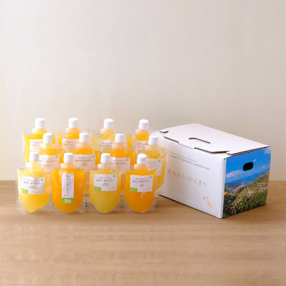 愛媛産果汁使用 みかん寒天ゼリー食べ比べ12本セット 1枚目の画像