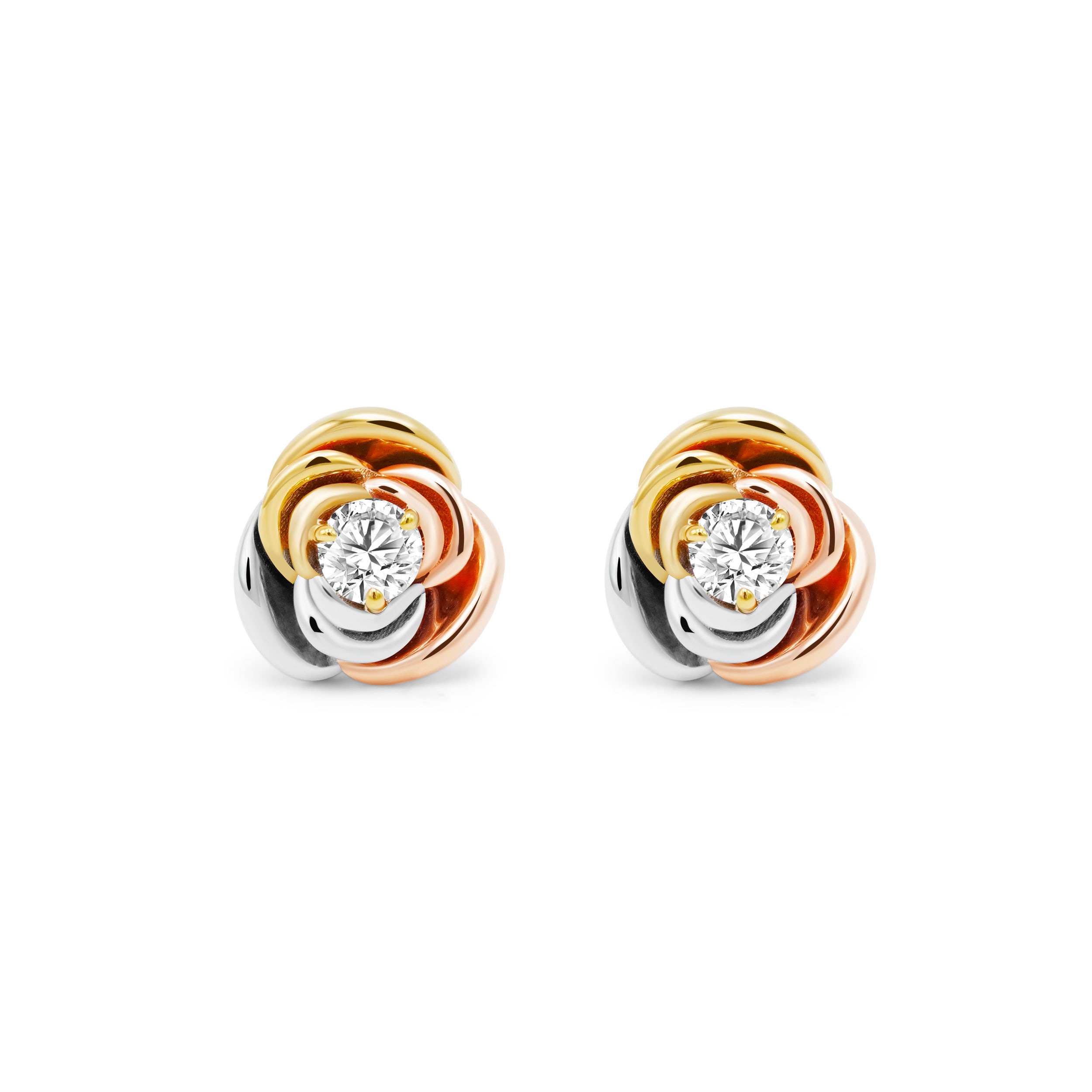 山茶花（サザンカ）スダッドピアス E150W419（4週間発送）