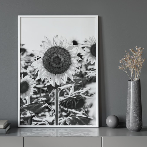 【美品】モノクロアート　タペストリー　セット　ひまわり　花　石膏像　額装 アートポスター ひまわり 白黒写真 モノクロ ボタニカル 北欧風
