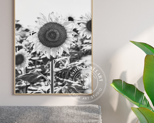 モノクロ写真のフォトパネル✫　モダンアート df23cf81eeb663b3004930eac5d889