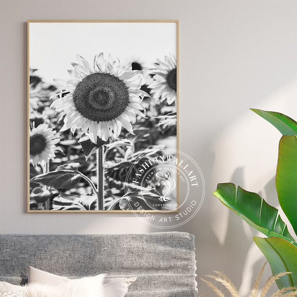 アートポスター ひまわり 白黒写真 モノクロ ボタニカル 北欧風