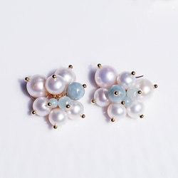 Snowberry 珍珠玉石耳環 ~Snowberry 第1張的照片