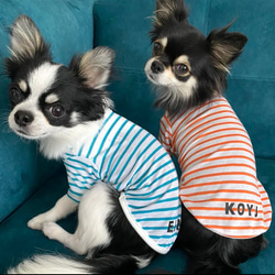 【名入れOK】夏向け シンプルボーダーTシャツ  犬服 6枚目の画像