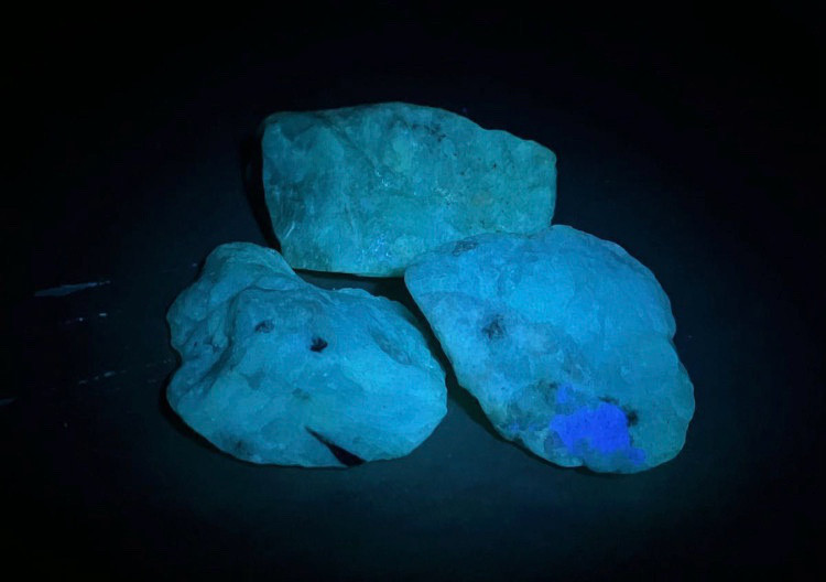 化石セット 珍しい石&化石 セット アマゾナイトetc