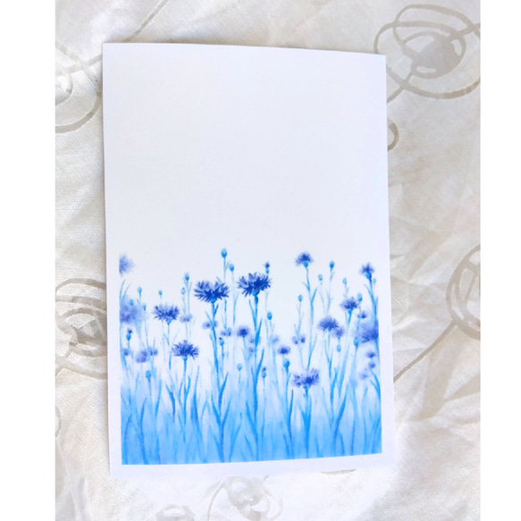 青紫の矢車菊（コーンフラワー）イラストのポストカード３枚セット　 6枚目の画像