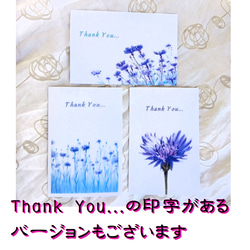 青紫の矢車菊（コーンフラワー）イラストのポストカード３枚セット　 11枚目の画像