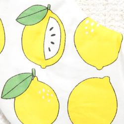 レモン × 水玉 3枚目の画像