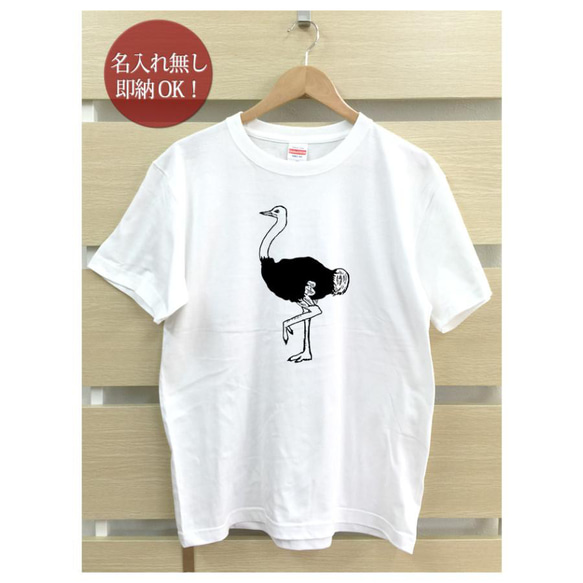 【全国送料無料】ダチョウ 駝鳥 鳥 レディース メンズ Tシャツ おもしろTシャツ 綿100% カラー7色 2枚目の画像