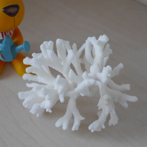 沖縄県 宮古島産 天然 枝サンゴ Sサイズ 割れ物注意！素材販売