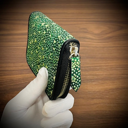 スタースティングレイ ミニ財布 ガルーシャ コインケース 小銭入れ 小さい財布 イバラエイ 梅花皮 グリーン 緑 4枚目の画像