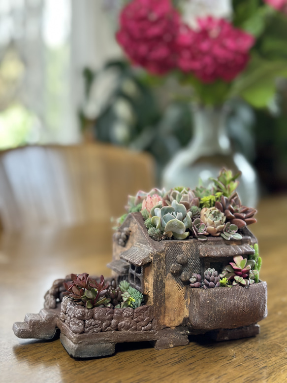 北欧風お家型焼き締め陶器の植木鉢&可愛い多肉植物寄せ植えセット 14枚目の画像