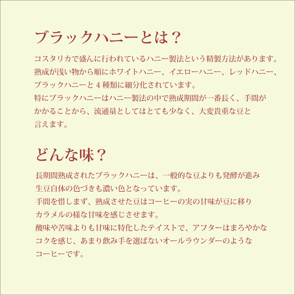 お試しパック 浅煎り コスタリカ 15g 4枚目の画像