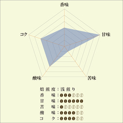 お試しパック 浅煎り コスタリカ 15g 2枚目の画像