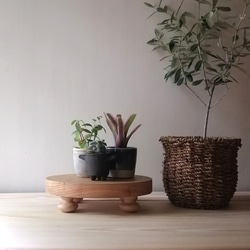 【送料無料】男前インテリア　植物　ハンドメイド　インダストリアル　6022 送料無料】男前インテリア 植物 ハンドメイド インダストリアル