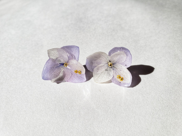 ||一粒ピアス|| 本物の紫陽花ピアス　ブルーラベンダー×ホワイト　サージカルステンレス　アレルギー対応 1枚目の画像