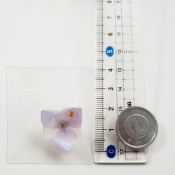 ||一粒ピアス|| 本物の紫陽花ピアス　ブルーラベンダー×ホワイト　サージカルステンレス　アレルギー対応 3枚目の画像