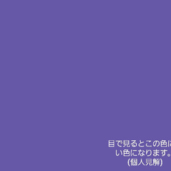 ||一粒ピアス|| 本物の紫陽花ピアス　藤色×ホワイト　サージカルステンレス　アレルギー対応 4枚目の画像